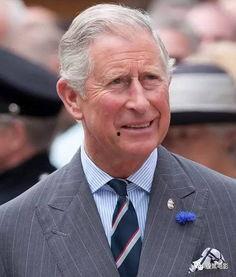 查尔斯爆料视频完整版  第2张