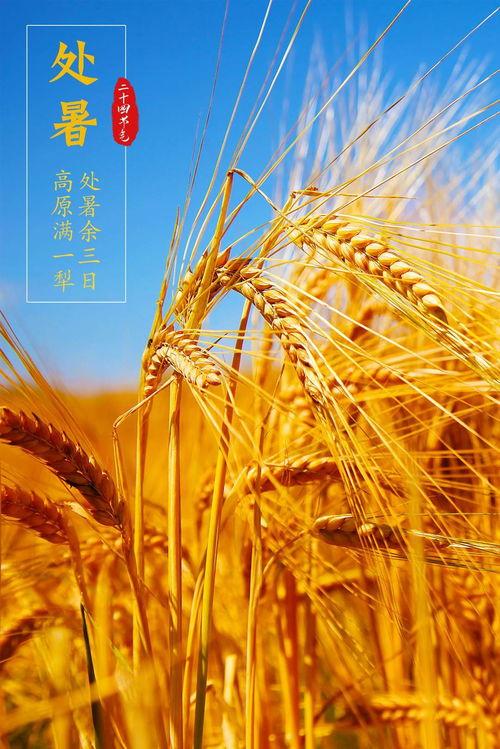 秋天的新闻爆料,新闻爆料聚焦秋季热点事件  第3张