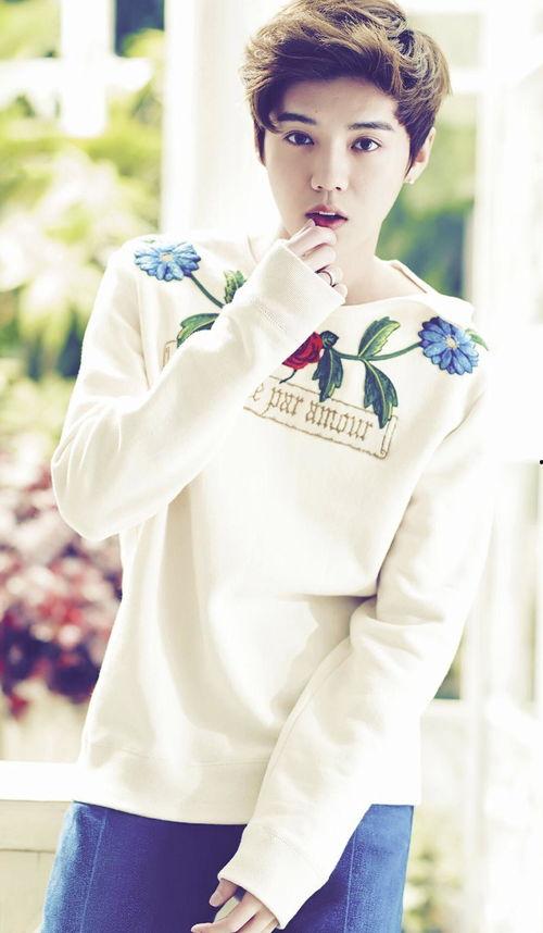 娱乐圈圈爆料鹿晗,揭秘背后故事与精彩瞬间  第2张